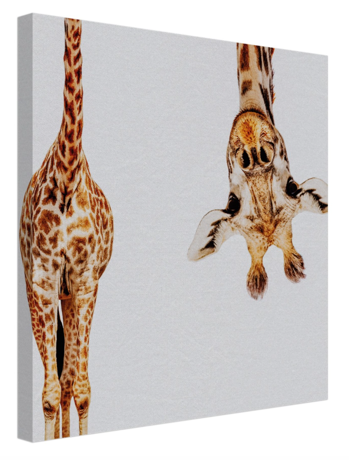Giraffe — Limited Print